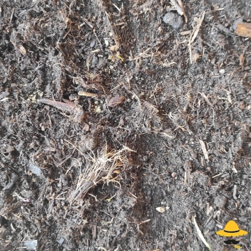 Les animaux du compost