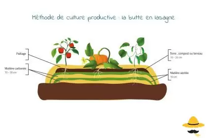 Méthode de culture productive : la butte en lasagne