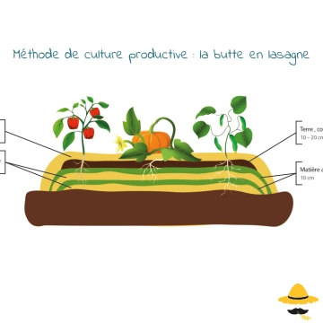 Méthode de culture productive : la butte en lasagne