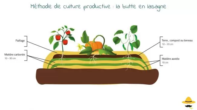Méthode de culture productive : la butte en lasagne