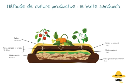 Méthode de culture : la butte sandwich