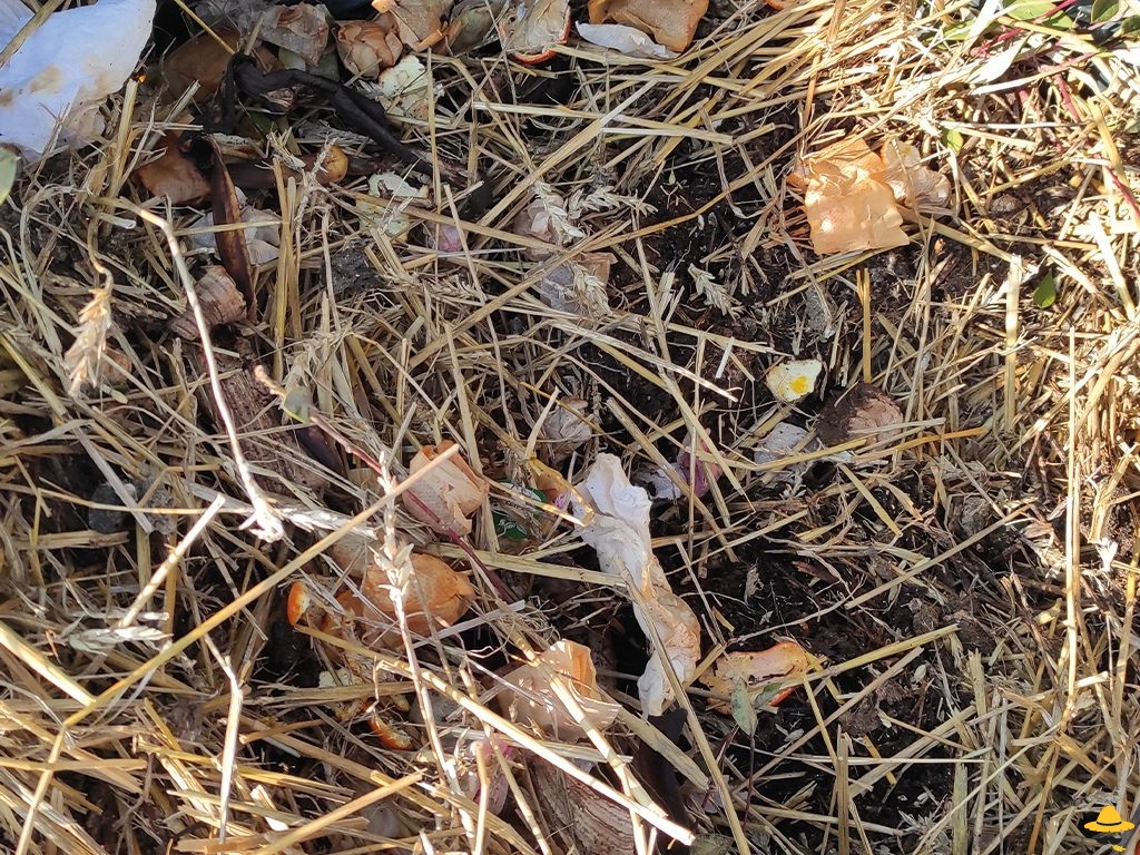 Comment faire et réussir son compost ?