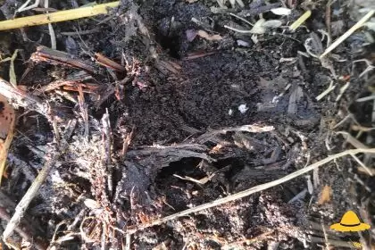 Comment faire et réussir son compost ?