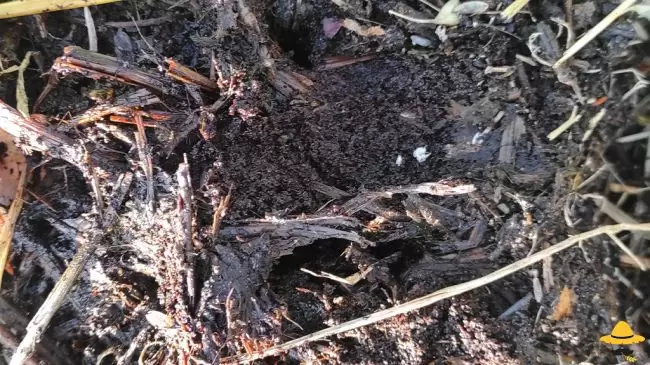 Comment faire et réussir son compost ?