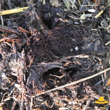 Comment faire et réussir son compost ?
