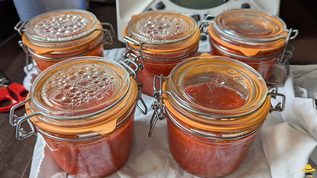 Tomate Liguria : culture, atouts et conseils au potager