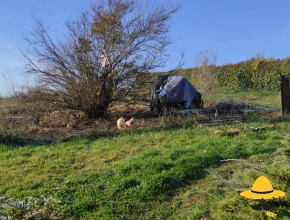 Le jardin en janvier 2021