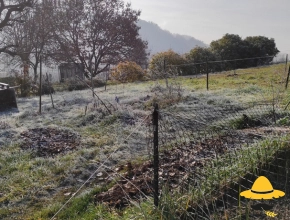 Le jardin en janvier 2021