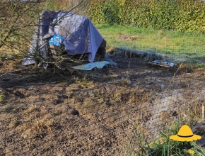 Le jardin en janvier 2021