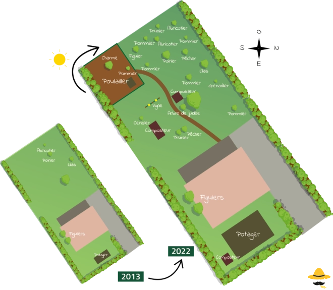 Evolution de mon jardin : potager, permaculture, plantation, arbre