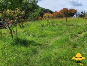 Le jardin en mai 2021