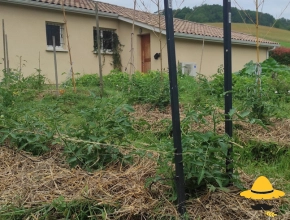 Le potager en 2022