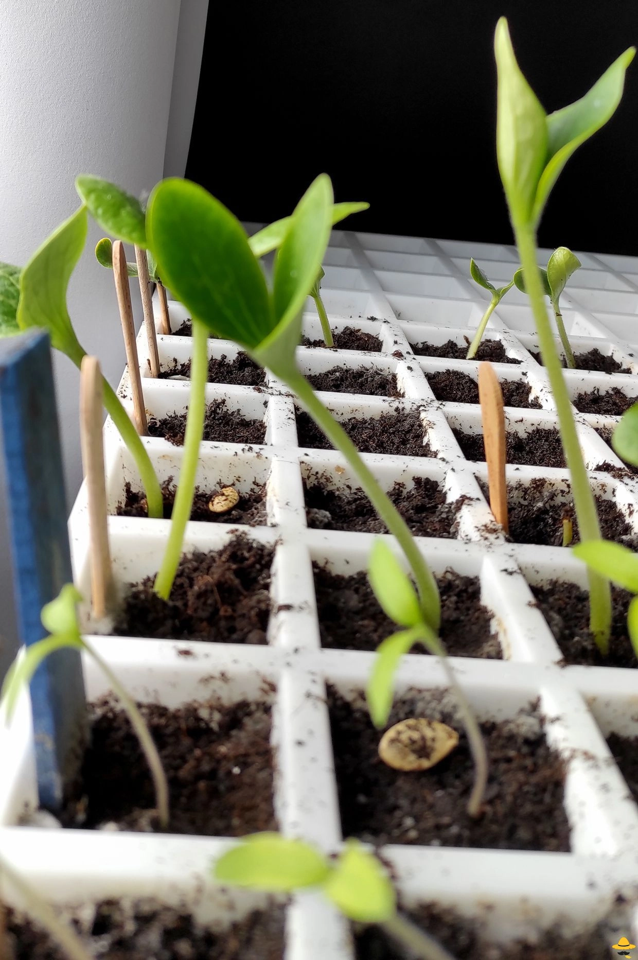 Planifier vos futures cultures de printemps