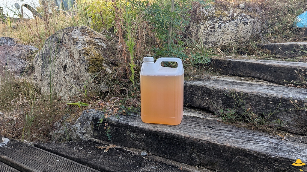 Utiliser l'urine au potager : bienfaits et précautions