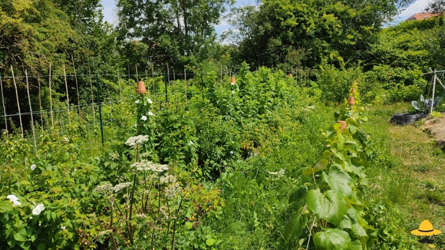 Créer des zones refuge et biodiversité au jardin sans tout chambouler